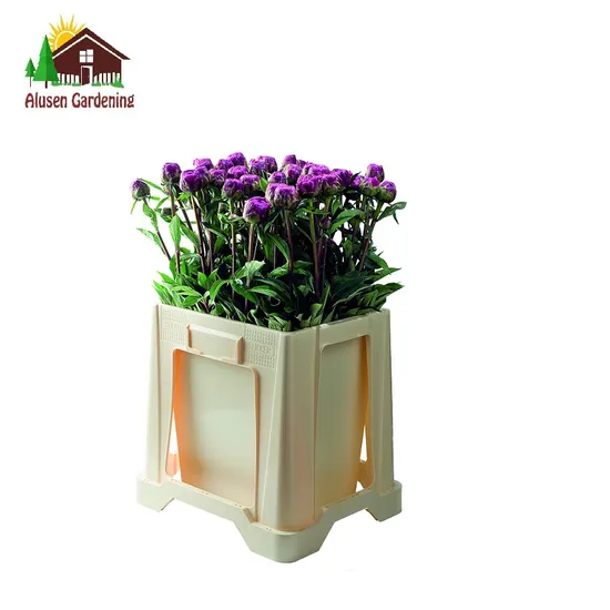 2027 New Dutch Flower Bucket for Auction Market Garden Center Auction Display Tulip